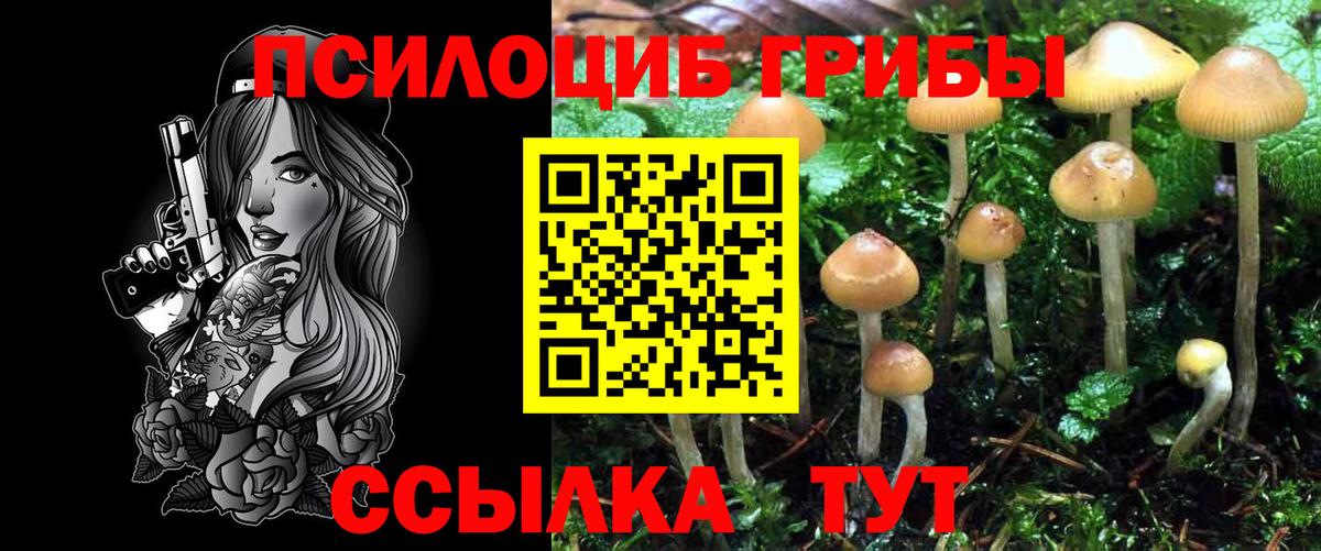купить закладку  Вход с VPN  Заволжье  Галлюциногенные грибы MAGIC MUSHROOMS  Псилоцибиновые грибы мухоморы 
